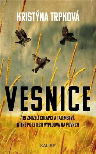Kniha Vesnice