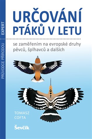 Určování ptáků v letu koupíte na Kosmas.cz