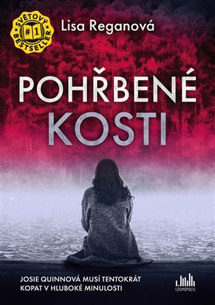 Pohřbené kosti koupíte na Kosmas.cz