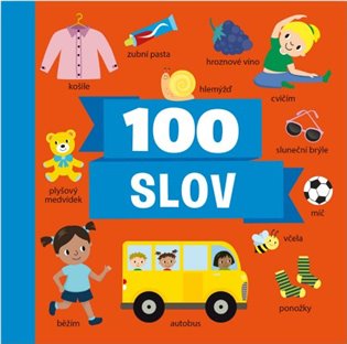 Kniha 100 slov
