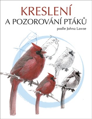 Kreslení a pozorování ptáků koupíte na Kosmas.cz