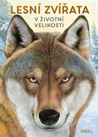 Lesní zvířata: V životní velikosti koupíte na Kosmas.cz