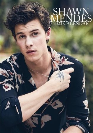 Kalendář Shawn Mendes 2023 (29,7 x 42 cm)