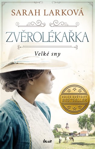 Kniha Velké sny
