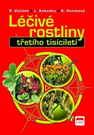 Léčivé rostliny třetího tisícíletí koupíte na Kosmas.cz