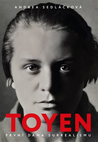 Toyen koupíte na Kosmas.cz