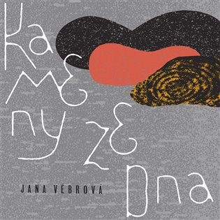 Kniha Kameny ze dnas - LP