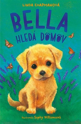 Bella hledá domov koupíte na Kosmas.cz