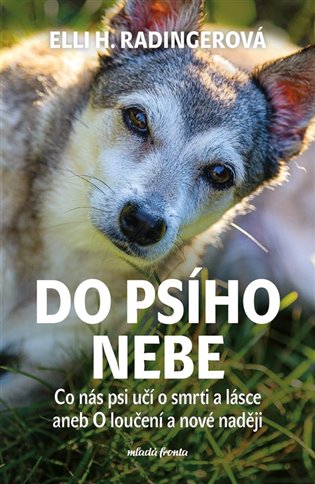 Do psího nebe koupíte na Kosmas.cz
