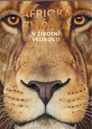 Africká zvířata koupíte na Kosmas.cz