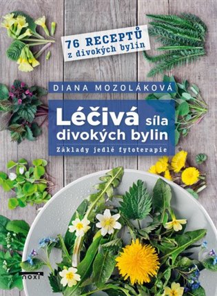 Léčivá síla divokých bylin koupíte na Kosmas.cz