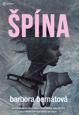 Špína