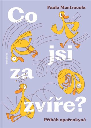Co jsi za zvíře? - Příběh opeřenkyně koupíte na Kosmas.cz