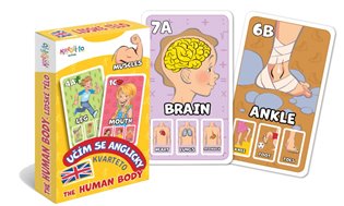 Kniha Kvarteto Učím se anglicky - The Human Body