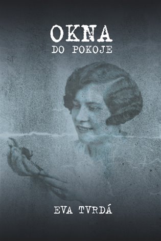 Okna do pokoje koupíte na Kosmas.cz