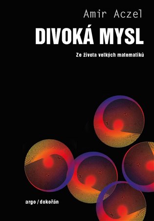 Divoká mysl