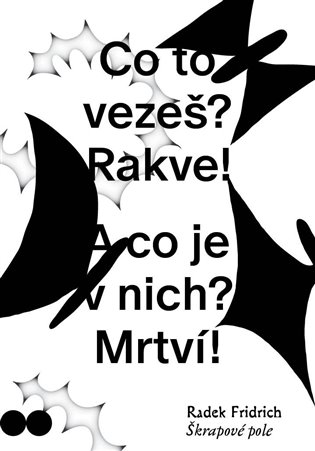 Škrapové pole koupíte na Kosmas.cz
