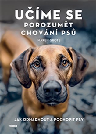 Učíme se porozumět chování psů
