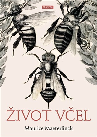 Život včel koupíte na Kosmas.cz
