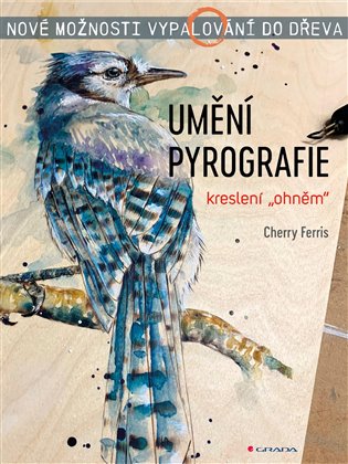 Umění pyrografie