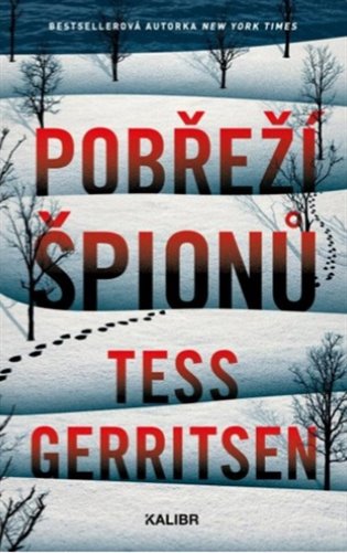 Pobřeží špionů koupíte na Kosmas.cz