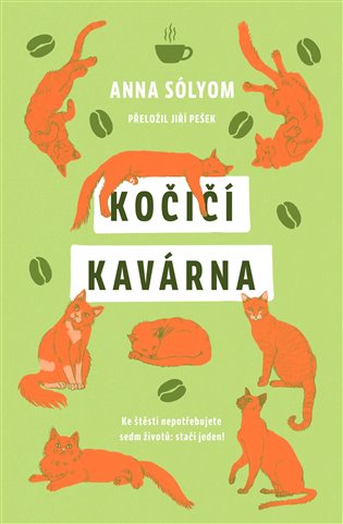 Kočičí kavárna koupíte na Kosmas.cz
