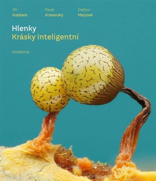 Hlenky koupíte na Kosmas.cz