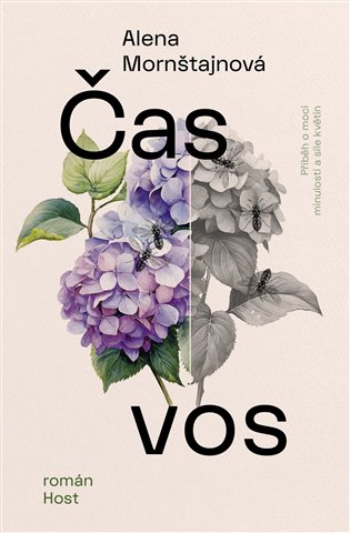 Čas vos koupíte na Kosmas.cz