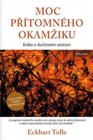 Moc přítomného okamžiku