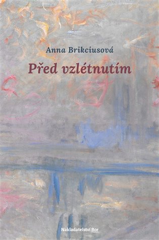 Před vzlétnutím