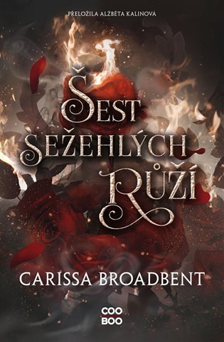 Šest sežehlých růží koupíte na Kosmas.cz