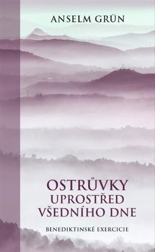 Ostrůvky uprostřed všedního dne - Anselm Grün