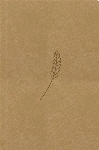 Bible, překlad 21. století (medová) koupíte na Kosmas.cz