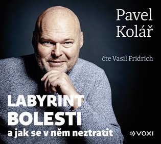 Labyrint bolesti (audiokniha) koupíte na Kosmas.cz