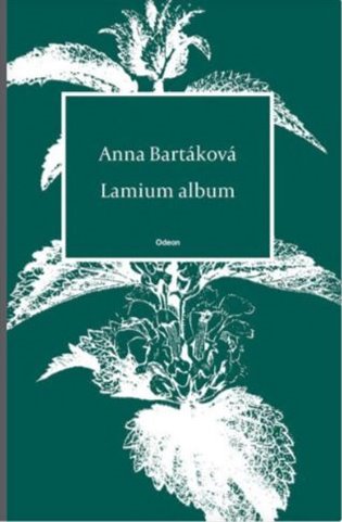 Lamium album koupíte na Kosmas.cz