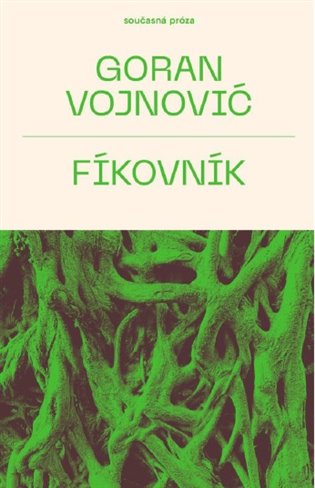 Fíkovník koupíte na Kosmas.cz