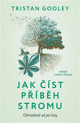 Jak číst příběh stromu