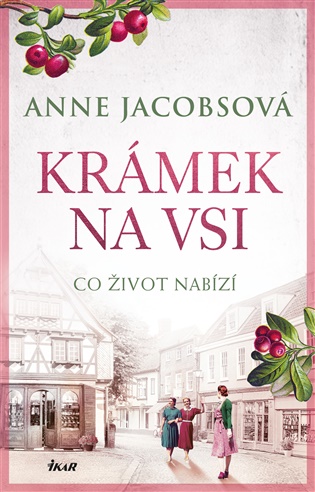 Kniha KRÁMEK NA VSI: Co život nabízí
