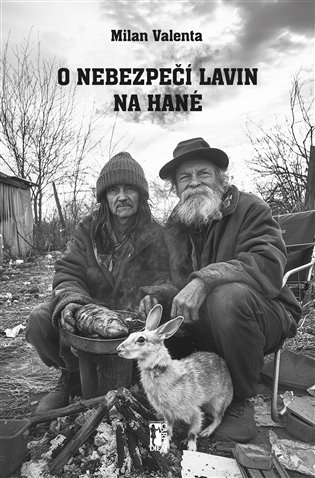 O nebezpečí lavin na Hané koupíte na Kosmas.cz