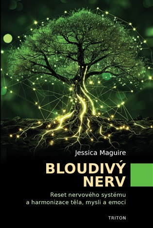 Bloudivý nerv -  Jessica Maguire
