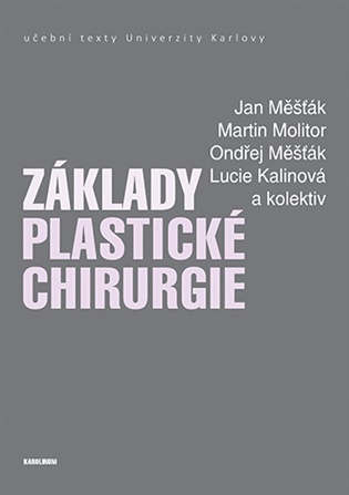Základy plastické chirurgie -  Martin Molitor