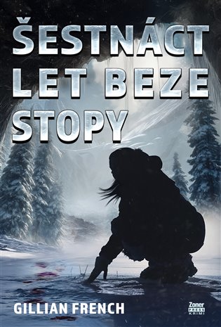 Šestnáct let beze stopy koupíte na Kosmas.cz