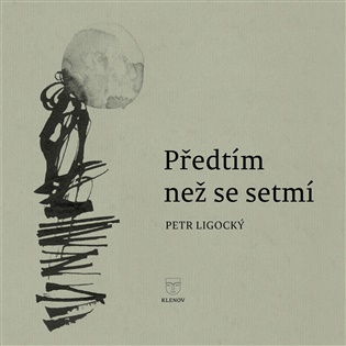Předtím než se setmí