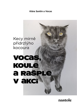 Kecy mírně přidrzlýho kocoura