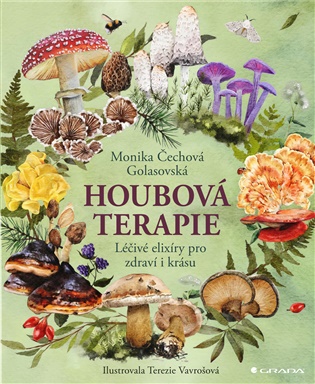 Houbová terapie