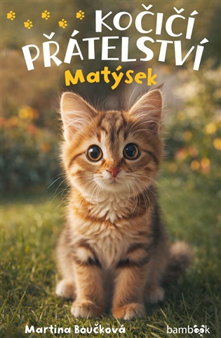 Kočičí přátelství - Matýsek