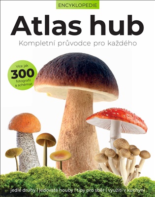 Atlas hub