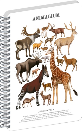 Spirálový blok Animalium – Sudokopytníci, čistý, A4